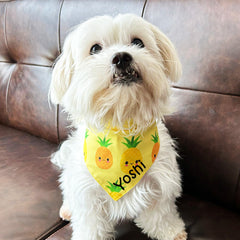 Dog bandana singapore cny