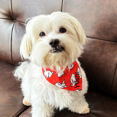 Happy Rabbits CNY Bandana