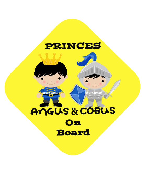 Two Princes Car Sign
