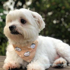 Personalized-Little Dumpling Bao (包子) Bandana-Singapore