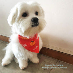Personalized-Mandarin Oranges CNY Bandana-Singapore