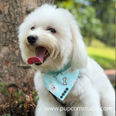Personalized-Many Many Doggies Bandana-Singapore