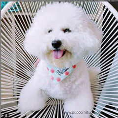 Personalized-Smarty Bones Bandana-Singapore