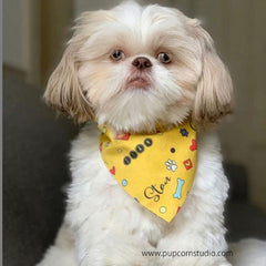 Personalized-Smarty Bones Bandana-Singapore
