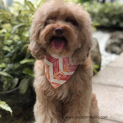 Personalized-Zig Zag Scribbles Bandana-Singapore