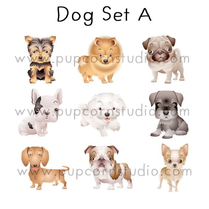 Doggy Birthday Dog/ Cat Tee