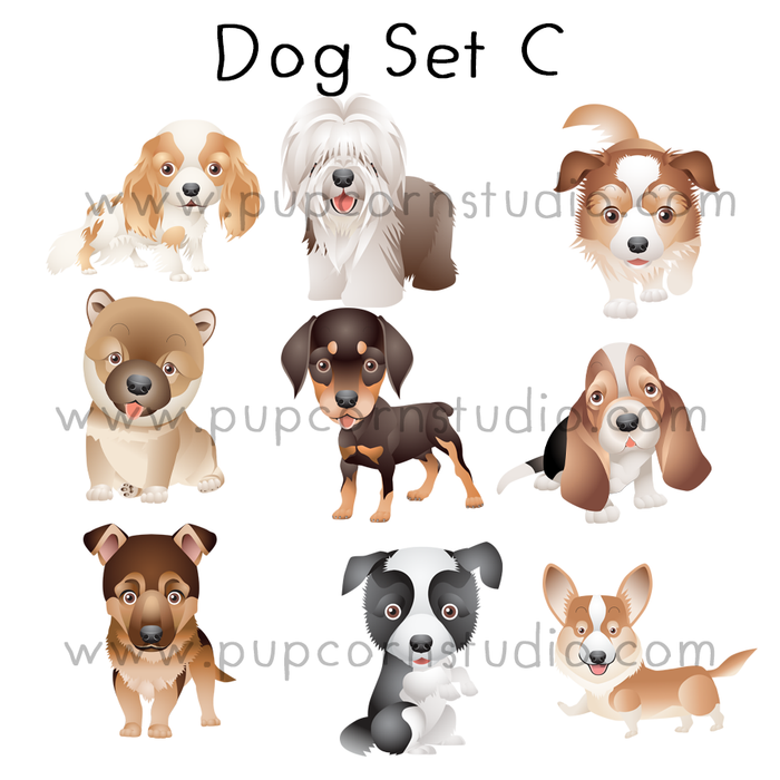 Doggy Birthday Dog/ Cat Tee