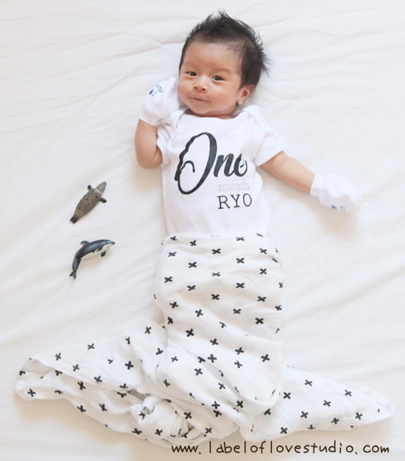 Classic Chic 12 Monthly Rompers — Label of Love Studio