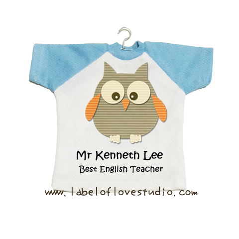 Owl Best Teacher Mini Tee